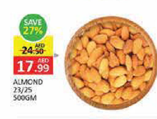 Mango available at مانجو هايبرماركت in الإمارات العربية المتحدة , الامارات - دبي