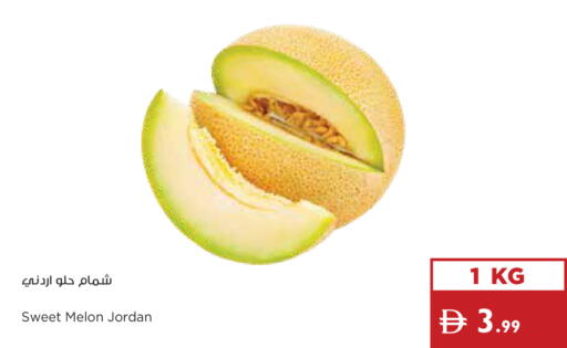 Melon from Jordan available at إسطنبول سوبرماركت in الإمارات العربية المتحدة , الامارات - أبو ظبي
