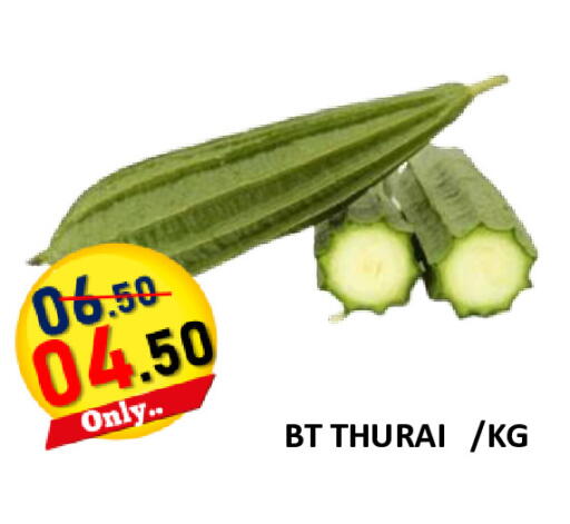 available at رويال جلف هايبرماركت in الإمارات العربية المتحدة , الامارات - أبو ظبي