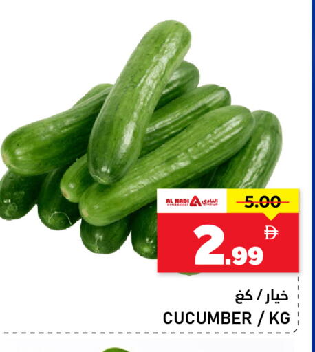 Cucumber available at النادي هايبرماركت in الإمارات العربية المتحدة , الامارات - الشارقة / عجمان