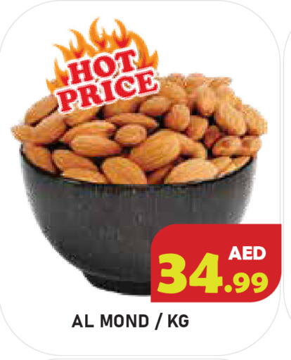 available at سنابل بني ياس in الإمارات العربية المتحدة , الامارات - أبو ظبي