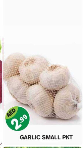Garlic available at سنابل بني ياس in الإمارات العربية المتحدة , الامارات - أبو ظبي