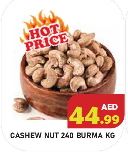available at سنابل بني ياس in الإمارات العربية المتحدة , الامارات - أبو ظبي