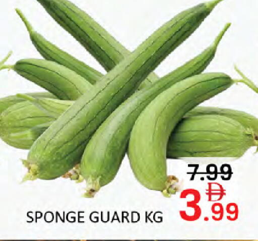 available at المدينة in الإمارات العربية المتحدة , الامارات - أبو ظبي