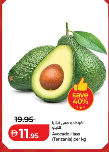 Avocado from Tanzania available at لولو هايبرماركت in الإمارات العربية المتحدة , الامارات - دبي