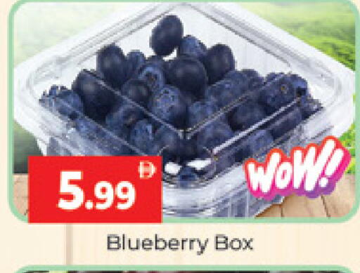 Blueberry BlueBerry available at المدينة in الإمارات العربية المتحدة , الامارات - دبي