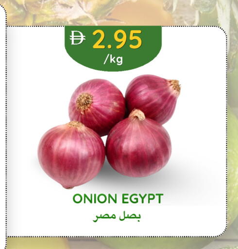 Onion from Egypt available at Select Market in UAE - Abu Dhabi