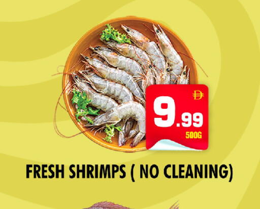 available at نايت تو نايت in الإمارات العربية المتحدة , الامارات - الشارقة / عجمان
