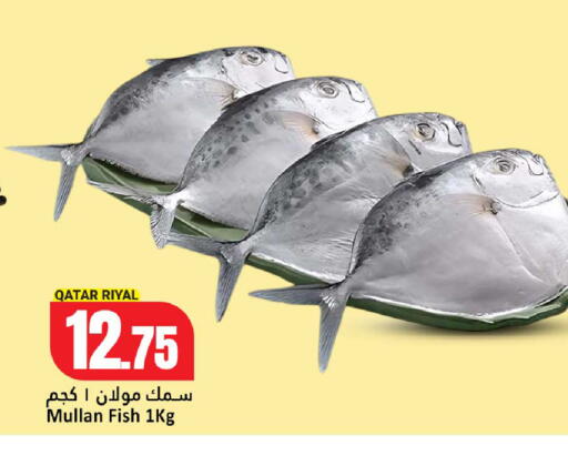 available at Dana Hypermarket in Qatar - Al Wakra