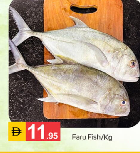 available at سوق طلال in الإمارات العربية المتحدة , الامارات - دبي