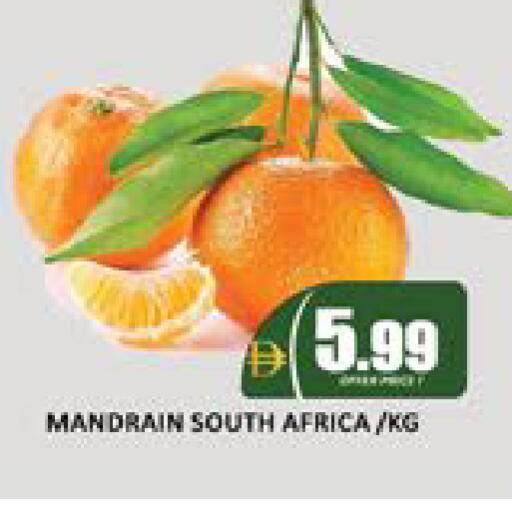 Mango from South Africa available at مانجو هايبرماركت in الإمارات العربية المتحدة , الامارات - دبي