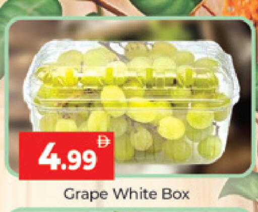 available at المدينة in الإمارات العربية المتحدة , الامارات - دبي