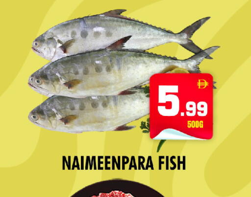 available at NIGHT TO NIGHT DEPARTMENT STORE in UAE - Sharjah / Ajman