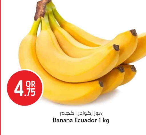 Banana from Ecuador available at سفاري هايبر ماركت in قطر - الشحانية