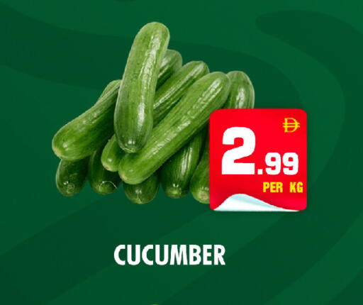 Cucumber available at نايت تو نايت in الإمارات العربية المتحدة , الامارات - الشارقة / عجمان