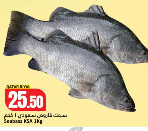 available at دانة هايبرماركت in قطر - الشمال