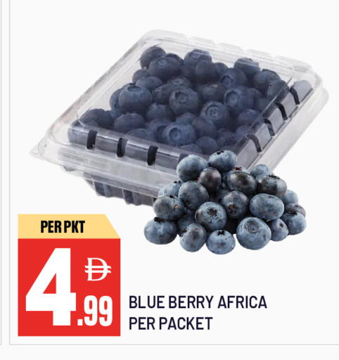 available at دريم لاند in الإمارات العربية المتحدة , الامارات - الشارقة / عجمان