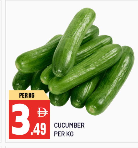 Cucumber available at Dream Land in UAE - Sharjah / Ajman