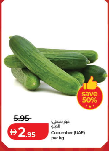 Cucumber available at Lulu Hypermarket in UAE - Dubai