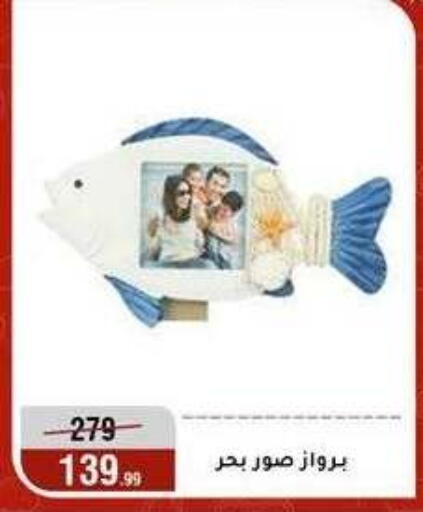available at المرشدي in Egypt - القاهرة