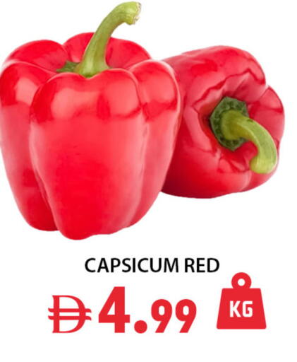 Capsicum available at Best Coop Discounts Hypermarket in UAE - Dubai