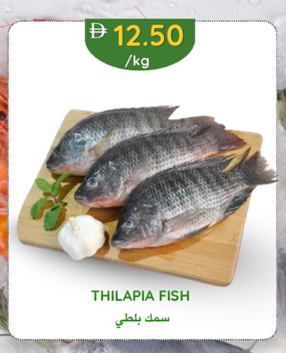 available at سيليكت ماركت in الإمارات العربية المتحدة , الامارات - أبو ظبي
