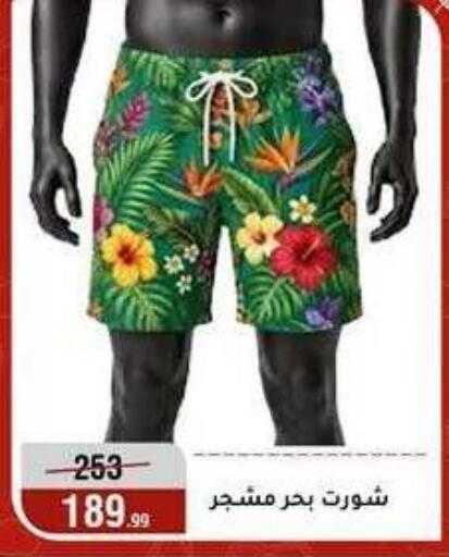 available at المرشدي in Egypt - القاهرة