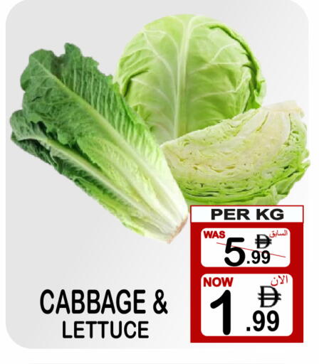 Cabbage Lettuce available at جفت بوينت in الإمارات العربية المتحدة , الامارات - دبي