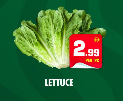 Lettuce available at نايت تو نايت in الإمارات العربية المتحدة , الامارات - الشارقة / عجمان