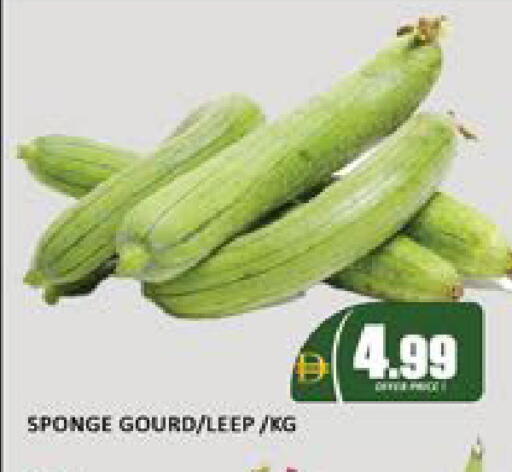 Mango available at مانجو هايبرماركت in الإمارات العربية المتحدة , الامارات - دبي