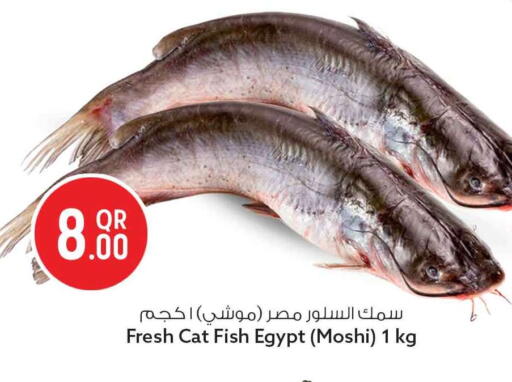 available at Safari Hypermarket in Qatar - Al Wakra