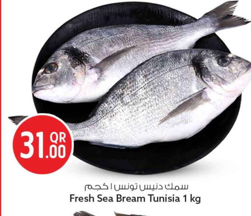 available at سفاري هايبر ماركت in قطر - أم صلال