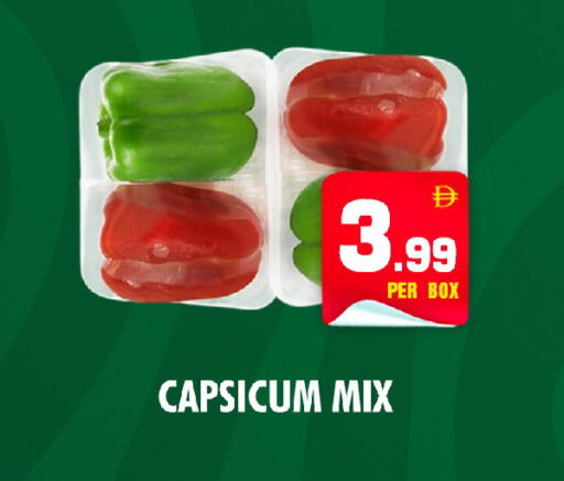 Capsicum available at نايت تو نايت in الإمارات العربية المتحدة , الامارات - الشارقة / عجمان