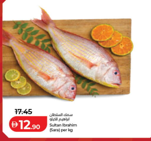 available at لولو هايبرماركت in الإمارات العربية المتحدة , الامارات - رَأْس ٱلْخَيْمَة
