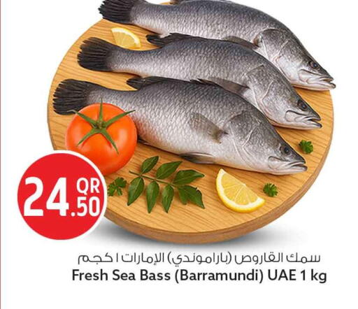 available at سفاري هايبر ماركت in قطر - الدوحة