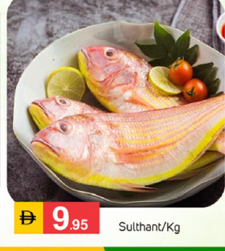 available at سوق طلال in الإمارات العربية المتحدة , الامارات - دبي