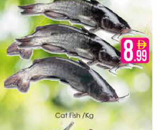 available at AIKO Mall and AIKO Hypermarket in UAE - Dubai