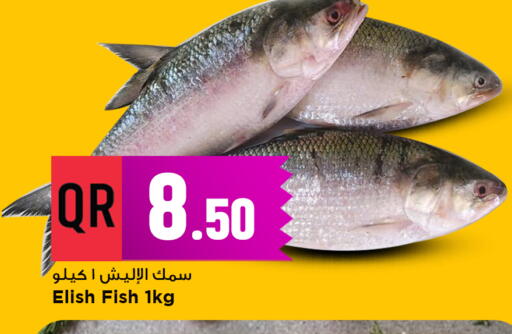 available at مرزا هايبرماركت in قطر - أم صلال