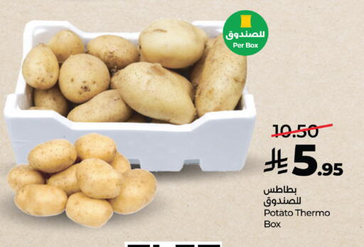 Potato available at لولو هايبرماركت in مملكة العربية السعودية, السعودية, سعودية - تبوك