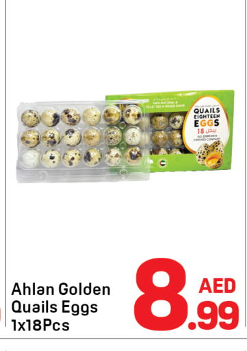 available at Day to Day Department Store in UAE - Dubai