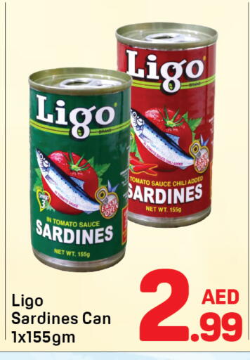 Tomato available at دي تو دي in الإمارات العربية المتحدة , الامارات - دبي