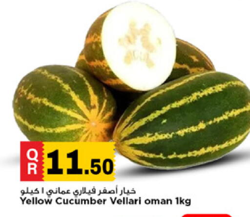 Cucumber from Oman available at مرزا هايبرماركت in قطر - الدوحة