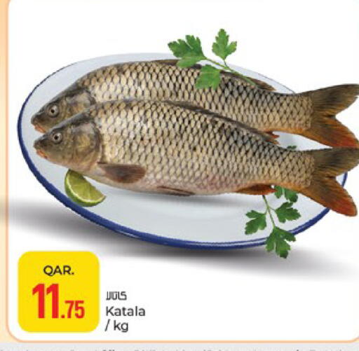 available at باريس هايبرماركت in قطر - أم صلال