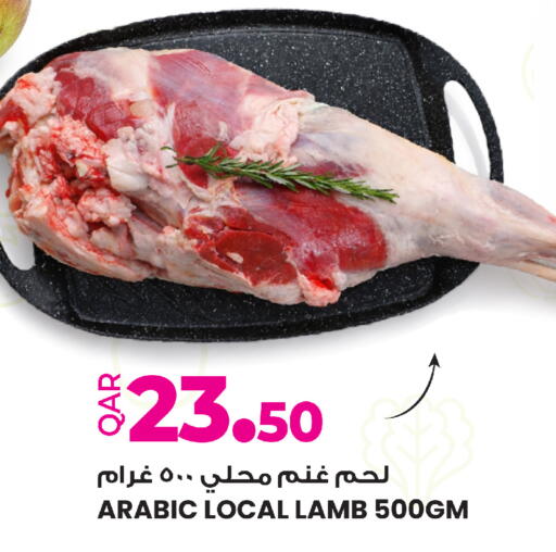 available at أنصار جاليري in قطر - الريان
