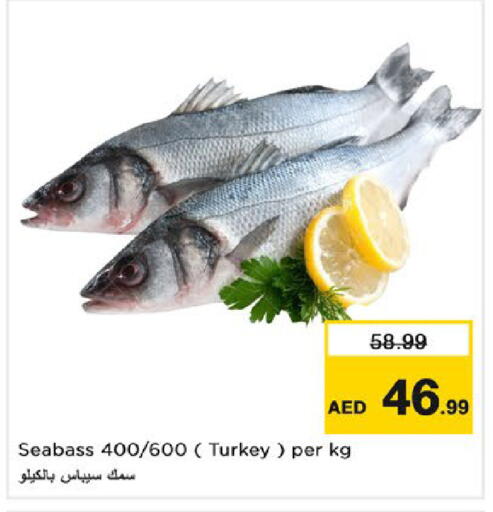 available at نستو هايبرماركت in الإمارات العربية المتحدة , الامارات - رَأْس ٱلْخَيْمَة