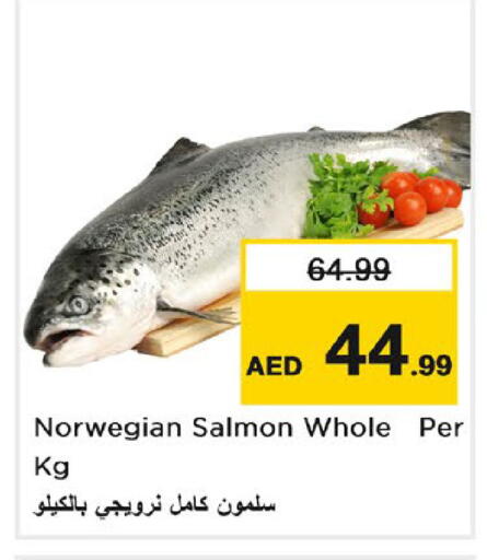 available at نستو هايبرماركت in الإمارات العربية المتحدة , الامارات - دبي