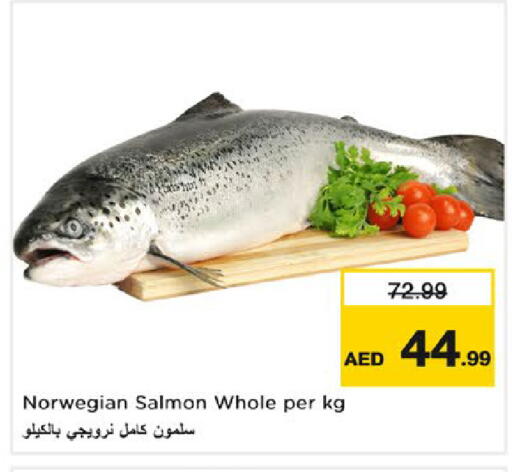 available at نستو هايبرماركت in الإمارات العربية المتحدة , الامارات - رَأْس ٱلْخَيْمَة