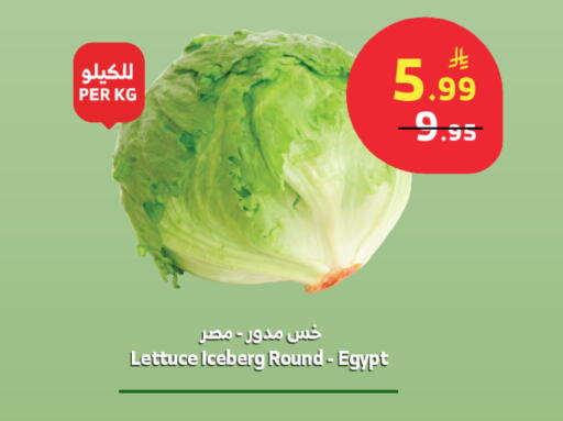 Lettuce from Egypt available at الراية in مملكة العربية السعودية, السعودية, سعودية - خميس مشيط