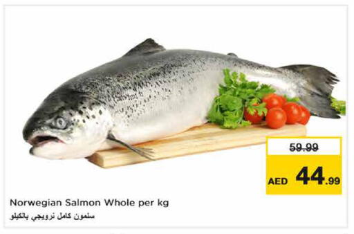 available at نستو هايبرماركت in الإمارات العربية المتحدة , الامارات - دبي