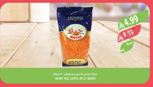 available at Farm  in KSA, Saudi Arabia, Saudi - Al-Kharj